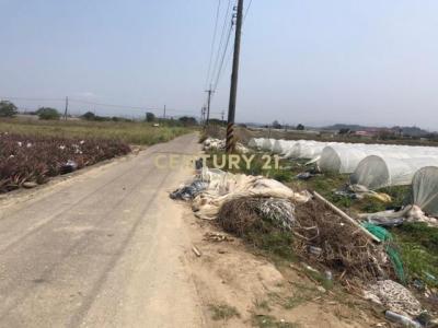 東大社段, Xinshi Dist., Tainan City 744, Taiwan