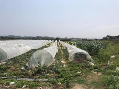 東大社段, Xinshi Dist., Tainan City 744, Taiwan