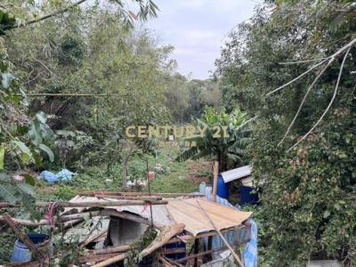 瑞井段, Dadu Dist., Taichung 432, Taiwan