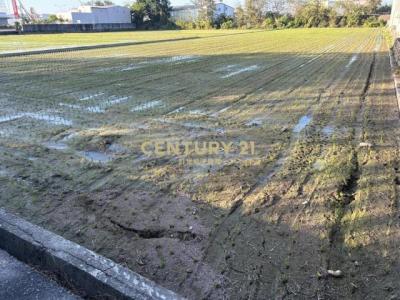 新光段, Caotun Township, Nantou County 542, Taiwan