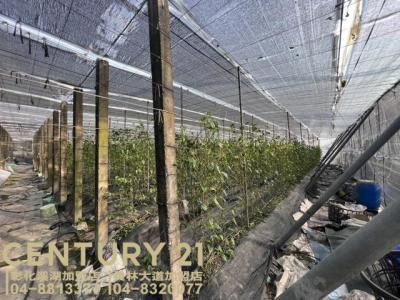 同安段, Yongjing Township, Changhua County 512, Tajwan