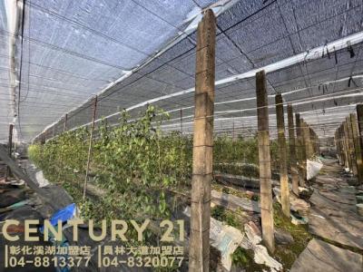 同安段, Yongjing Township, Changhua County 512, Tajwan