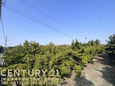 同安段, Yongjing Township, Changhua County 512, Taiwan