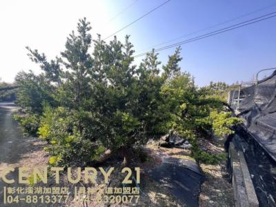 同安段, Yongjing بلدة, مقاطعة تشانجوا 512, تايوان