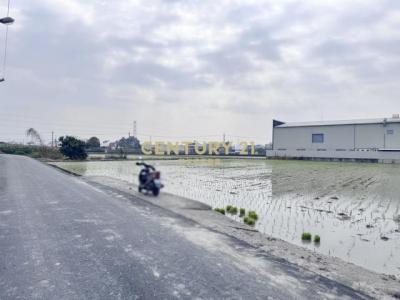 北里段, Wuri Dist., 台中 414, 台湾