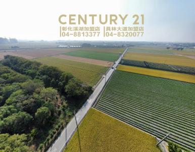 竹林段, Zhutang Township, Changhua County 525, Taiwan
