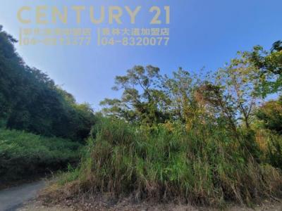 灣東段, Huatan Township, Changhua County 503, Taiwan
