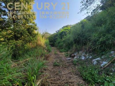 灣東段, Huatan Township, Changhua County 503, Taiwan