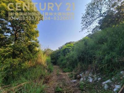 灣東段, Huatan Township, Changhua County 503, Taiwan