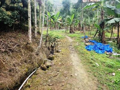 龍眼林段, Zhongliao Township, Nantou County 541, 台湾