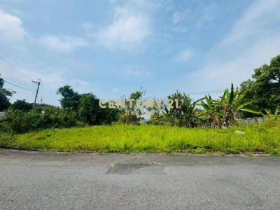 復興段, Wufeng Dist., Taichung City 413, Taiwan