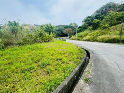 復興段, Wufeng Dist., 타이 중 413, 대만