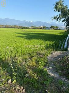 豐源段, Taitung City, Taitung County 950, Taiwan