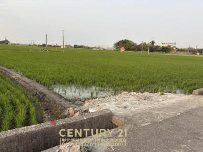 永基段, Zhutang Township, Changhua County 525, Taiwan