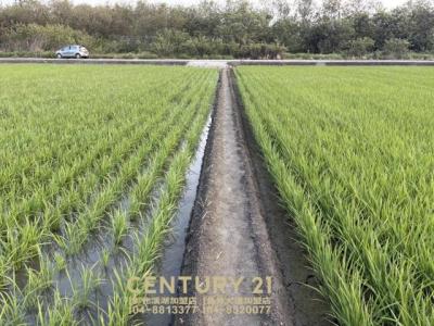 永基段, Zhutang Township, Changhua County 525, Taiwan