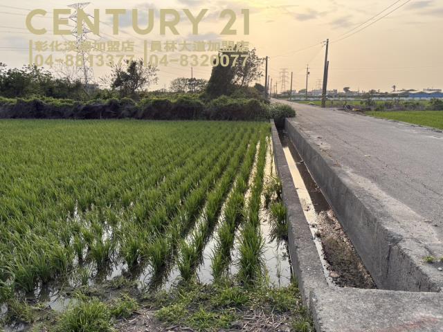 永基段, Zhutang Township, Changhua County 525, Taiwan