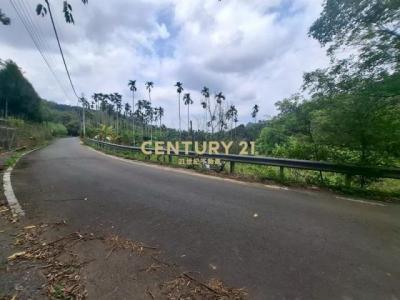 福山段, Zhongliao Township, Nantou County 541, Taïwan