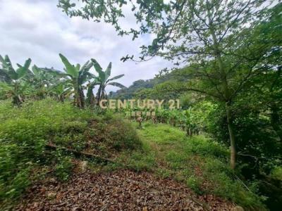 福山段, Zhongliao Township, Nantou County 541, Taïwan