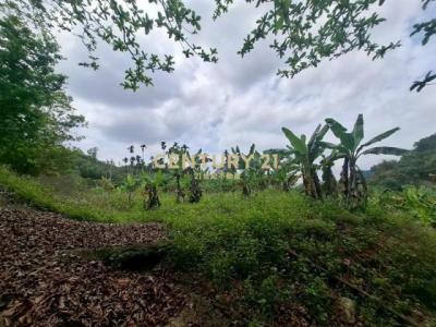 福山段, Zhongliao Township, Nantou County 541, Taïwan