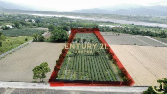 鹿野段, Luye Township, Taitung County 955, 台湾