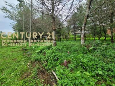 新福興段, Zhushan Township, Nantou County 557, Tajwan