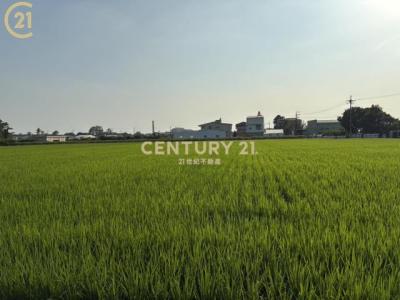 六分寮, Shanhua Dist., Đài Nam 741, Đài Loan
