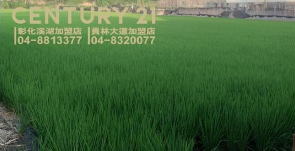 頂庄段, Xihu Township, Changhua County 514, Tajwan