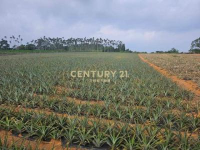 猴探井段, Наньтоу, Уезд Наньтоу 540, Тайвань