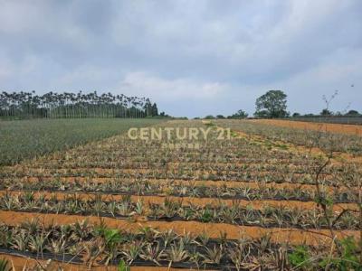 猴探井段, Наньтоу, Уезд Наньтоу 540, Тайвань