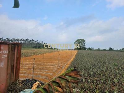 猴探井段, Наньтоу, Уезд Наньтоу 540, Тайвань