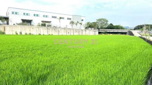 四德段, Wufeng Dist., Đài Trung 413, Đài Loan