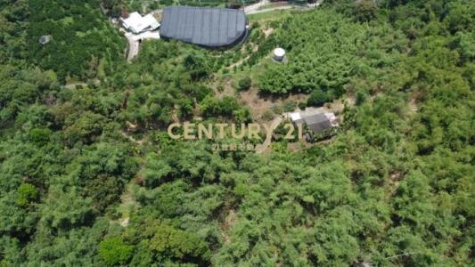 光西巷, Beitun Dist., Taichung 406, Taiwan
