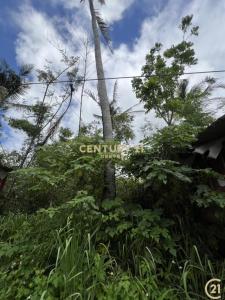 加路蘭段, Beinan Township, Taitung County 954, Taiwan