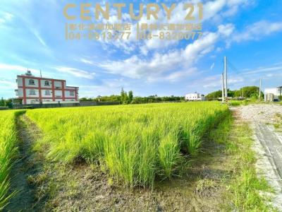 五通段, Puxin Township, Changhua County 513, Taïwan