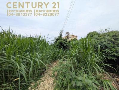 新興段, Dacun Township, Changhua County 515, Taiwan