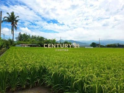 新埔段, Caotun Township, Nantou County 542, Taiwan