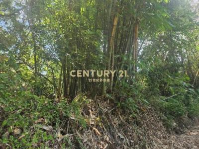 內轆段, Nantou, Nantou County 540, Taiwán