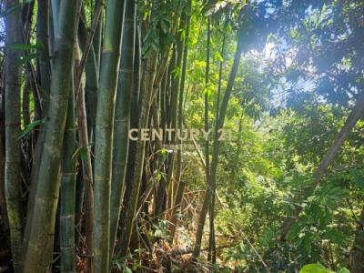 內轆段, Nantou, Nantou County 540, Taiwán