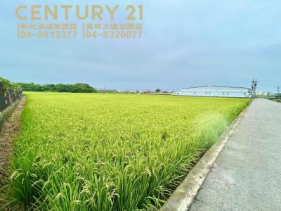 慶安段, Dacun Township, Changhua County 515, Taiwan