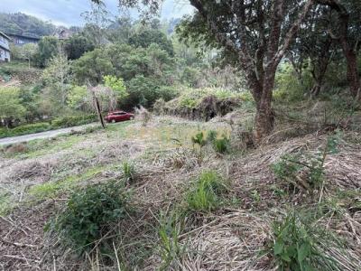 新雞隆段, Tongluo Township, Miaoli County 366, Taiwan