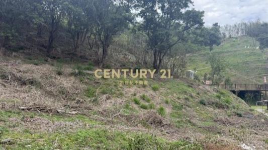 新雞隆段, Tongluo Township, Miaoli County 366, Taiwan