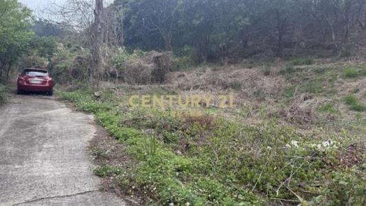 新雞隆段, Tongluo Township, Miaoli County 366, Taiwan