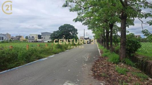 大社, Xinshi Dist., Tainan City 744, Taiwan