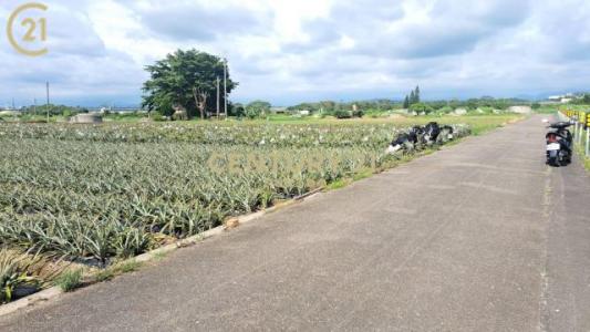 大社, Xinshi Dist., Tainan City 744, Taiwan