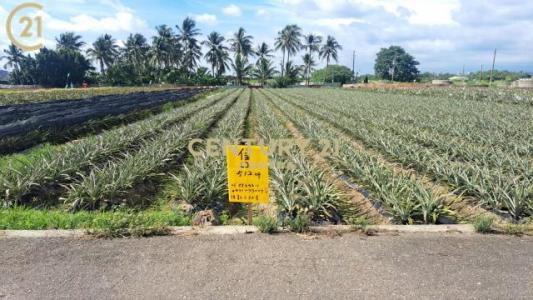 大社, Xinshi Dist., Tainan City 744, Taiwan