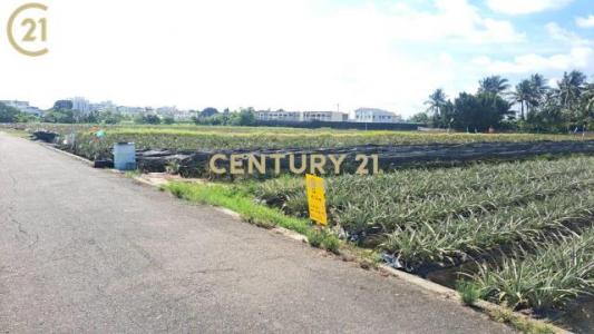 大社, Xinshi Dist., Tainan City 744, Taiwan