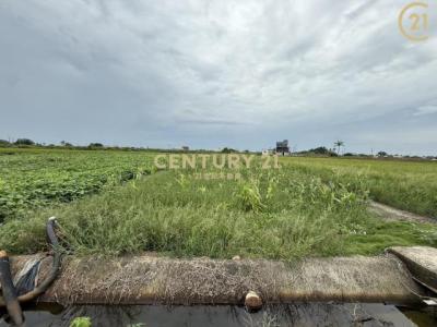 栗子崙段中洲小段, 東勢鄉, 嘉義縣 614, 台灣