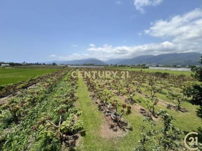 知本段, Taitung, Taitung County 950, Taïwan