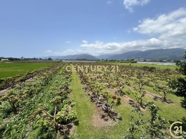 知本段, Taitung, Taitung County 950, Tajwan