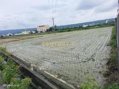 新光段, Caotun עיירה, Nantou קאונטי 542, טיוואן 